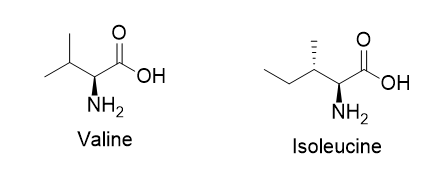 BCAA 효능 (복용법, 대체품)