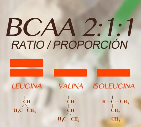 BCAA 효능 (복용법, 대체품)